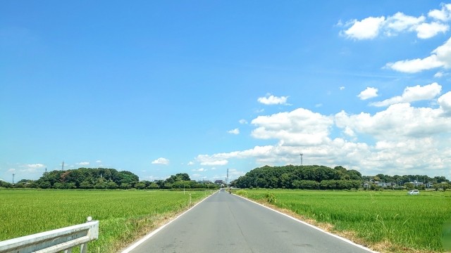 田園風景