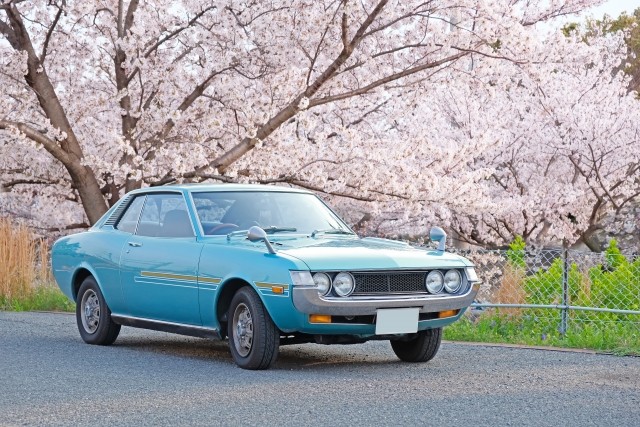 桜と車
