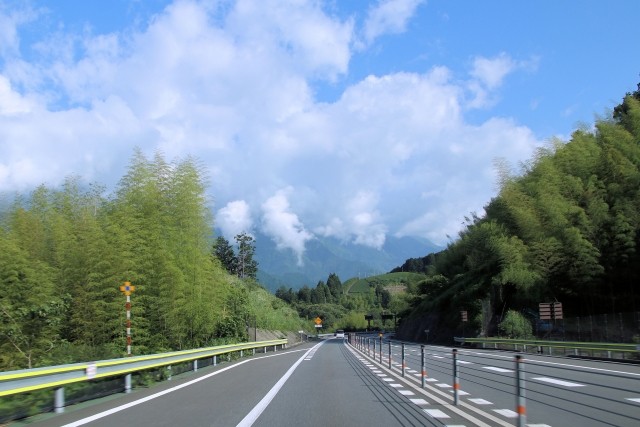 雨上がりの道